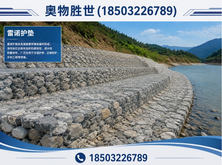茂名雷诺护垫展示图